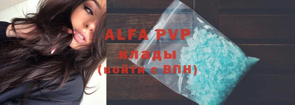 МДПВ Каменка