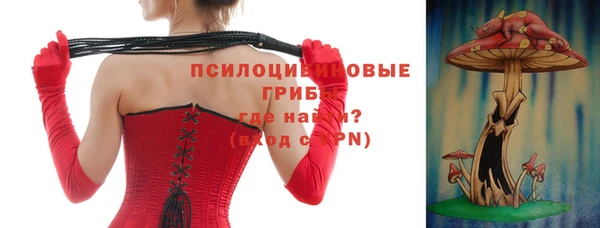 apvp Кодинск