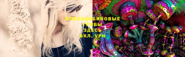 дживик Киренск