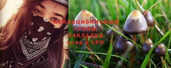 apvp Карталы