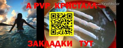 дживик Гай