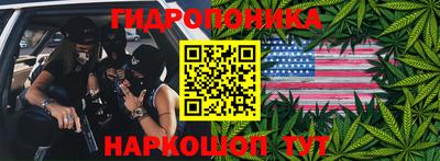 дживик Гай