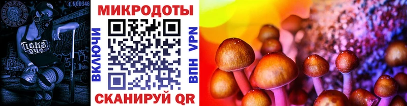 где можно купить   Коркино  гидра ТОР  Псилоцибиновые грибы мицелий 