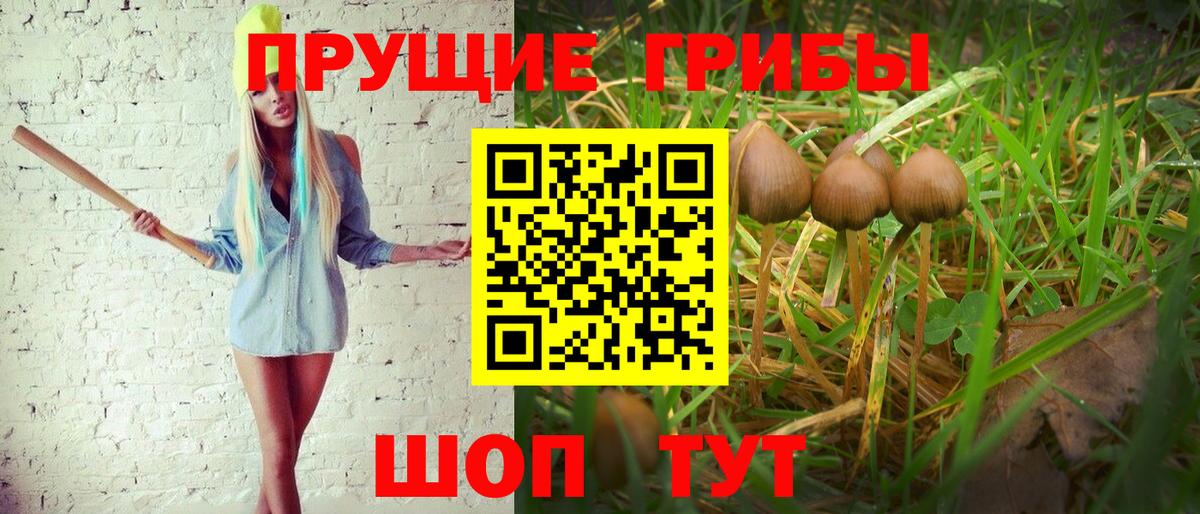 Галлюциногенные грибы MAGIC MUSHROOMS Коркино