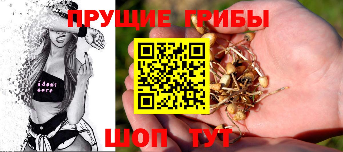 Псилоцибиновые грибы мухоморы Коркино