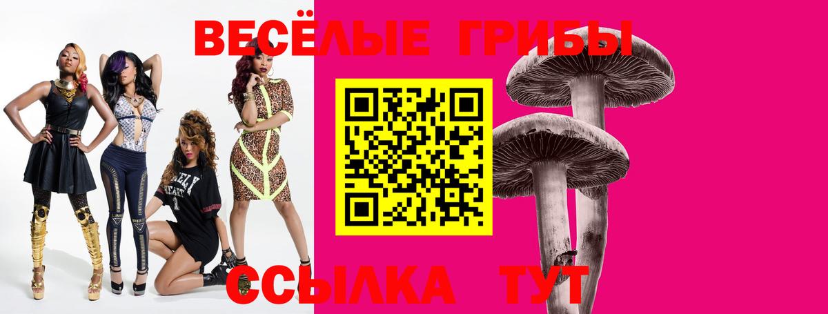 Коркино  Галлюциногенные грибы мицелий  Галлюциногенные грибы GOLDEN TEACHER  Вход с VPN 